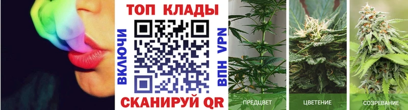 Купить закладку ГАШИШ  Бошки Шишки  Метадон  МЕФ  COCAIN  Луга