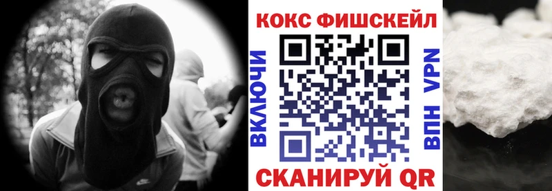 Купить где  Луга  КОКАИН Fish Scale 