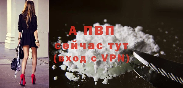 трава Белокуриха