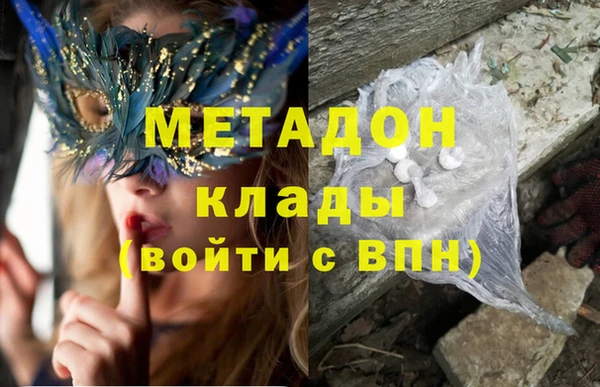 трава Белокуриха