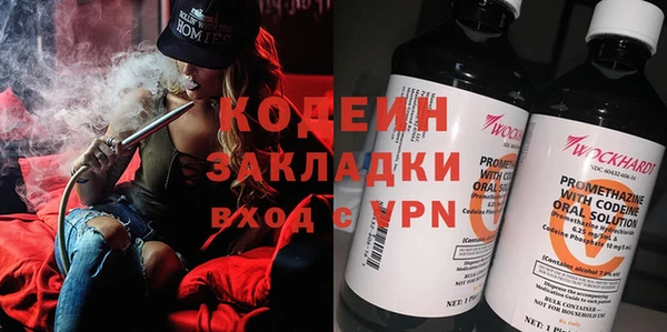 трава Белокуриха