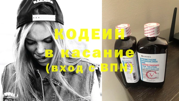 трава Белокуриха