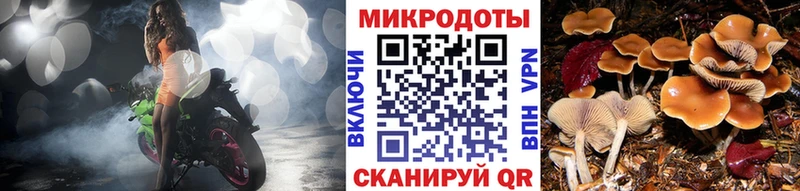 Галлюциногенные грибы мицелий  Купить закладки  Луга 